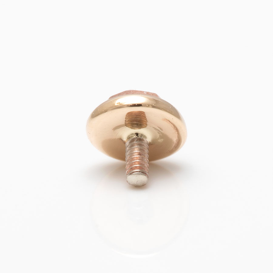 Miniaturbild: BVLA online kaufen