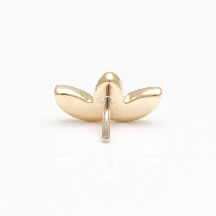 Miniaturbild: BVLA Piercing