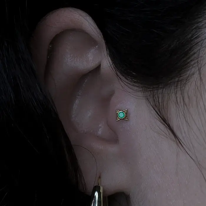 Thumbnail: Tragus Piercing mit Schmuck aus Gelbgold und Chrysoprase
