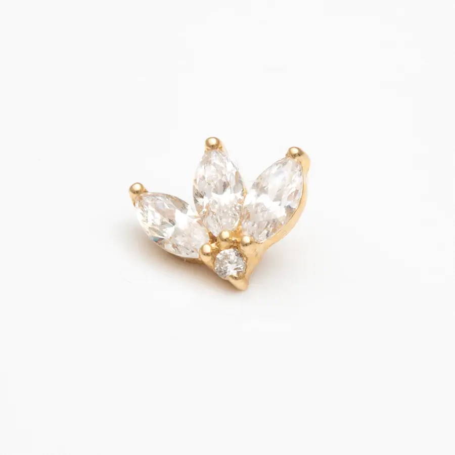 Conch Piercing Marquise Fan aus 14 Karat Gold