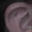 Miniaturbild: Flat Helix Piercing BVLA