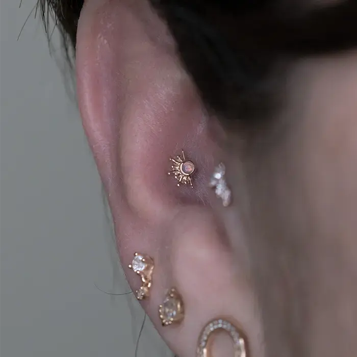 Live to Tell BVLA Conch Piercing