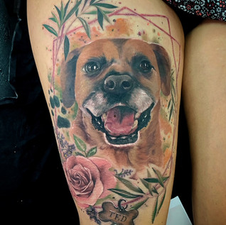 Hunde Portrait