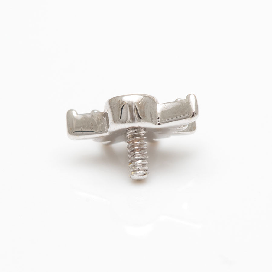 Miniaturbild: BVLA Piercingschmuck