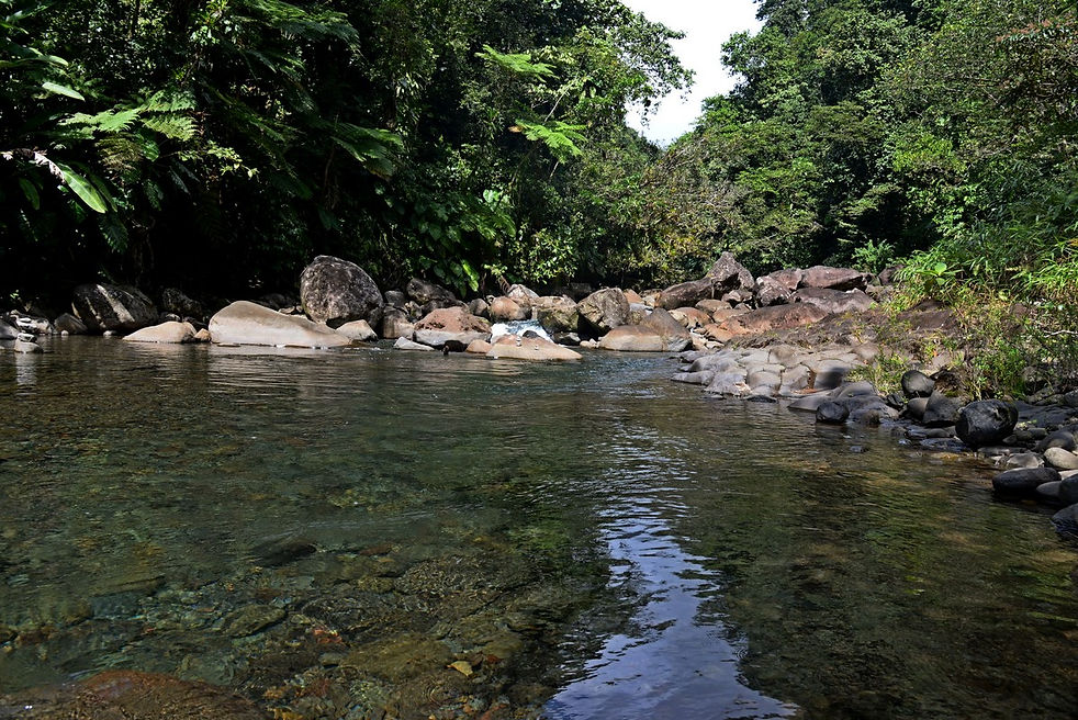 Guade Chutes Terre 006.jpg