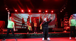 Website (About Section)