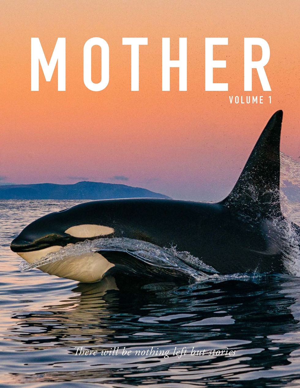 Thumbnail: Mother Volume 1- The beginning