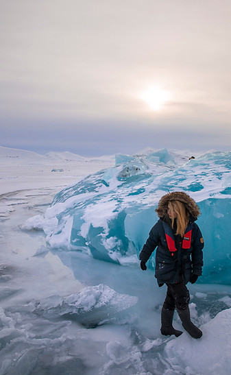arctic cruise expedition svalbard spitsbergen polar bears