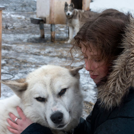 "Polar bears through a lens"