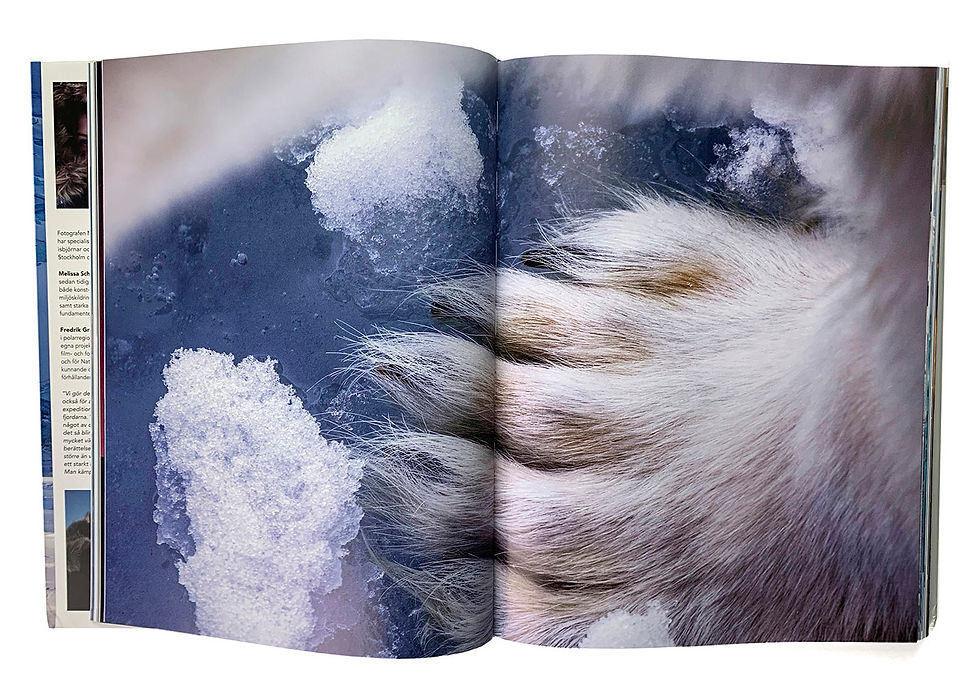 Thumbnail: "Bortom isbjörnens rike" Swedish book