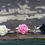 Thumbnail: Rose Ring