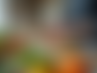 Comprehensive Overview of Lovell Nutrition: Custom Nutrition Plans for Optimal Wellness