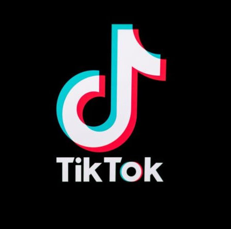 Galinha Pintadinha estreia no TikTok com vídeo de mais de 600 mil visualizações