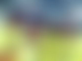 R.O.A.R. Tour - Jamaica College