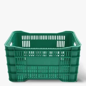 MODELO HORTIFRUTI LOG60.webp