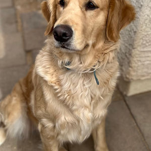 Holly "Hollywood" Sunshine Mountain