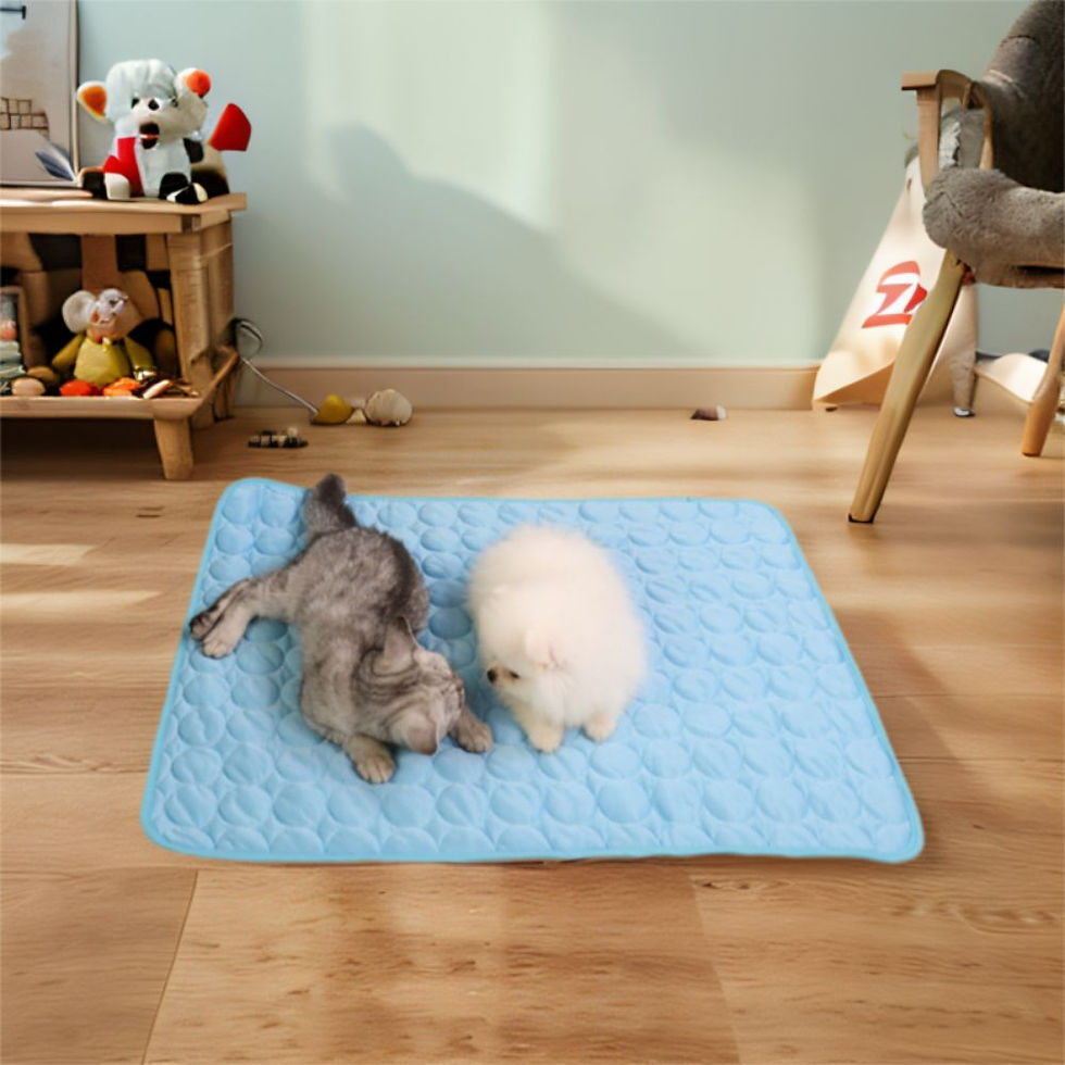 Miniatura: Tapete Gelado Cooling PetChill