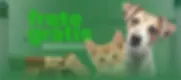 banner-pet-1-7b115d64-3d0e-47dd-8c18-e86dd7398333.webp