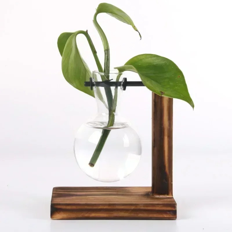 Miniatura: Terrário Hidropônico em Garrafa de Vidro