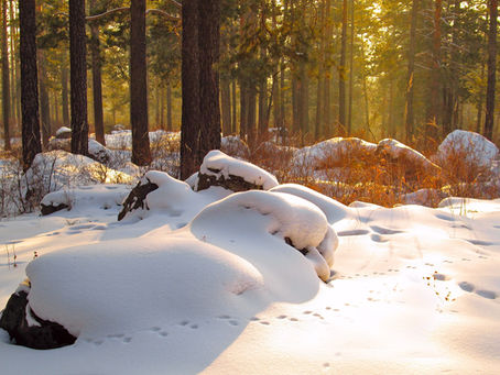 Saturn und Imbolc - Stille, Rückbindung und Neuanfang