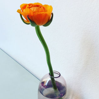 Flower in modern glass.jpg