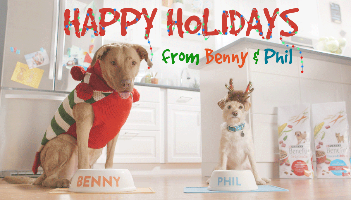 Happy Holidays