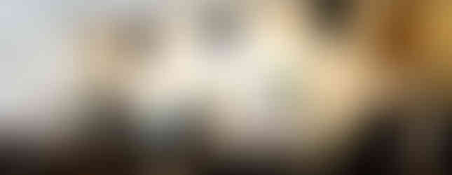 Sessão solene graduação UNICEP