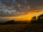 Evening Sunset