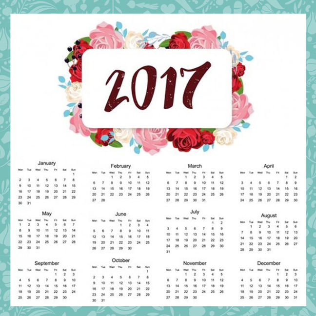 E aí, como será seu 2017?