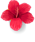  Mona get Inspired Flower icone 2
