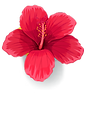 Mona get Inspired Flower icone 1