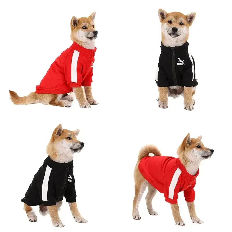 Thumbnail: Pomii Dog Zip-Up Sweatshirt For Small Dogs