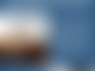 Boletín Postventa 4° Módulos de Sedimentación Acelerada