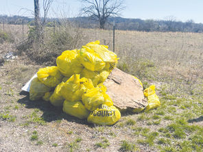 Kirbyville resident organizes roadside and community cleanup projects