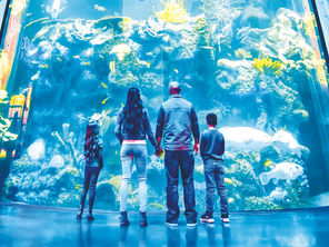 Wonders of Wildlife named Best Aquarium by 2025 Newsweek Readers’ Choice awards
