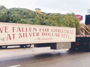 Rockefeller-type tree escorted to Silver Dollar City