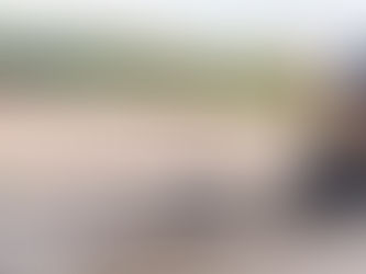 Rockefeller-type tree escorted to Silver Dollar City