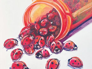 SMAC Art Center hosts ‘I Am Not A Bug’