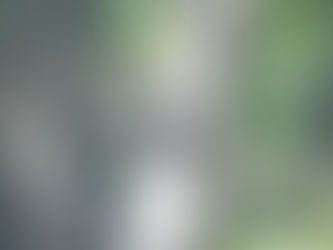 Outdoors with Larry Dablemont: For the birds