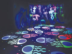 Wonders of Wildlife extends ‘Sea of Lights’ through Jan. 31