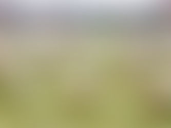 Remember, honor, teach: Wreaths Across America dedication at Snapp Cemetery, Forsyth, December 14