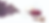 insearhof-banner-homepag-MIKBook_edited.png