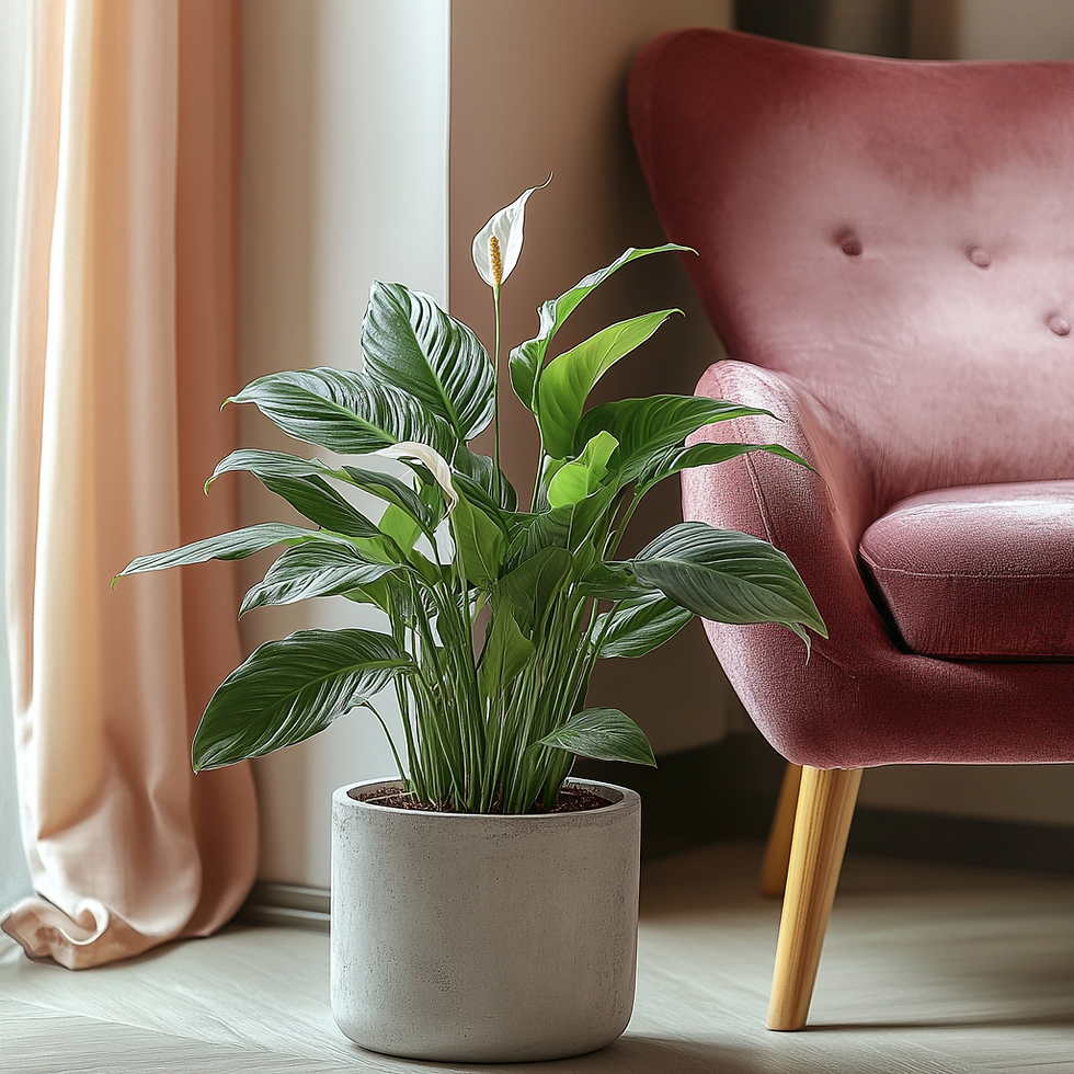 10 Things I Wish I Knew Before Becoming a Therapist