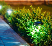 iluminação.jpg