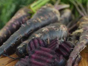 Unveiling the Importance and Benefits of Black Carrots