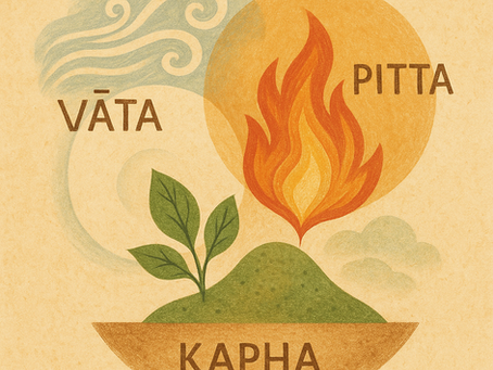 What Are Ayurveda Doshas? A Beginner's Guide to Balancing Vata, Pitta, & Kapha