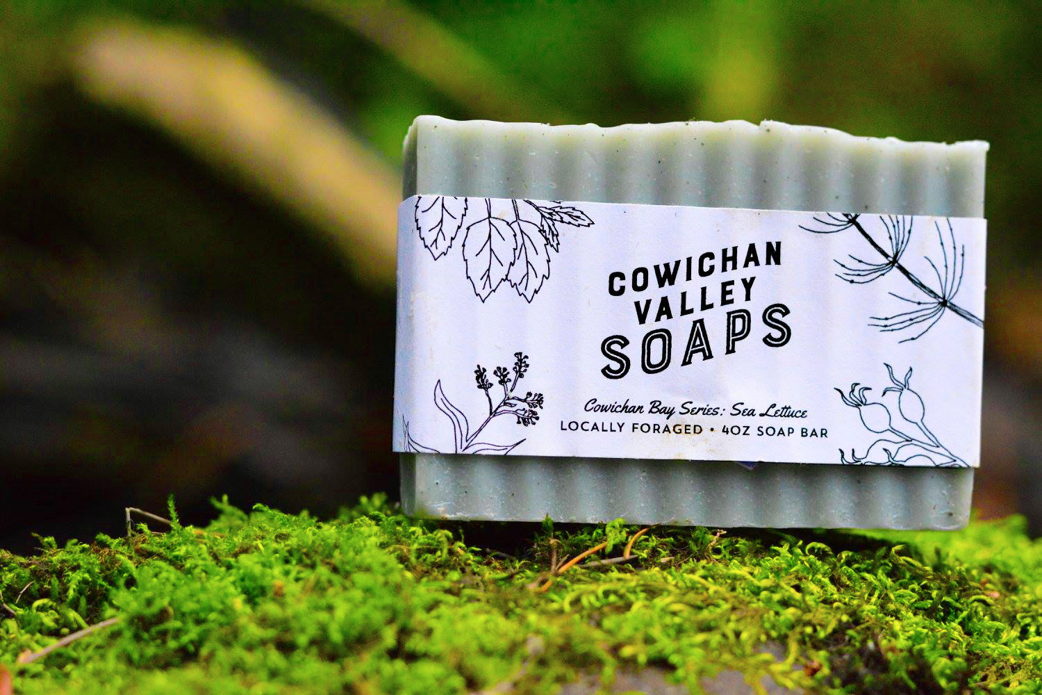 Cowichan Bay Series - Sea Lettuce- Eucalyptus & Lemon