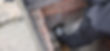 RatGate-Install-blog.jpg