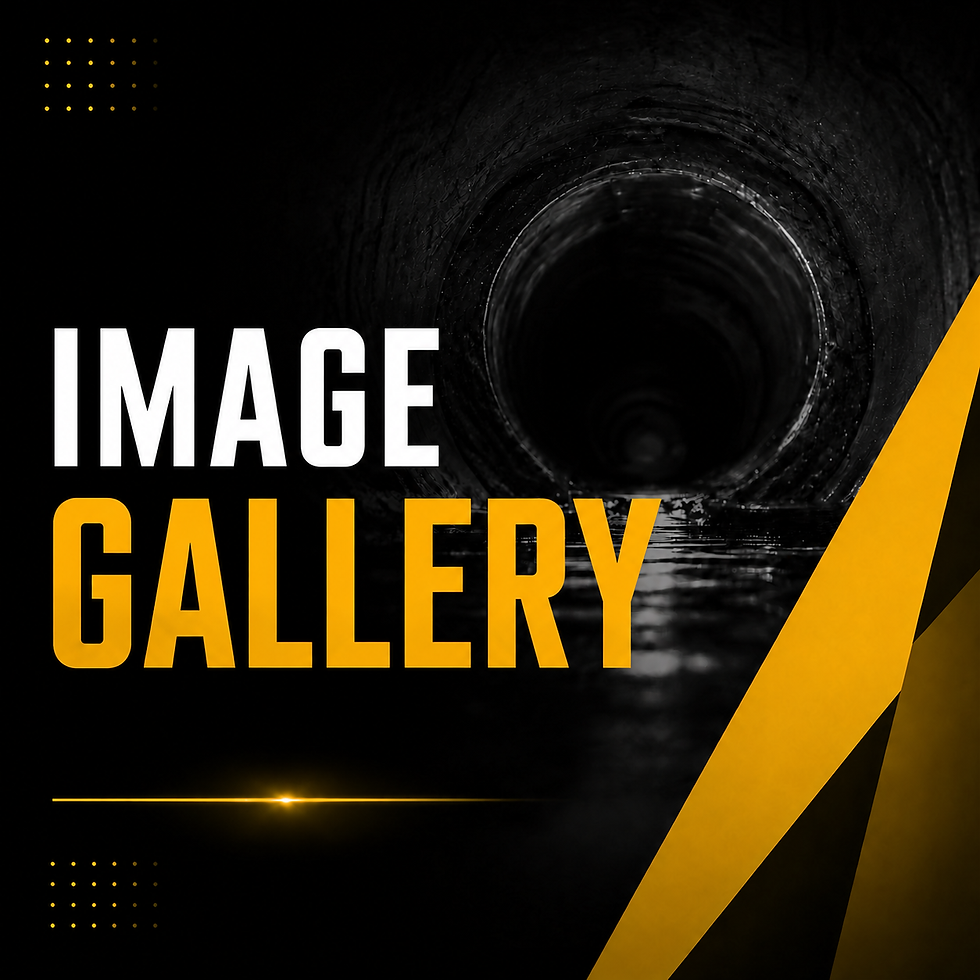 Image Gallery.png