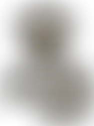 Root Cutting X Chain Flail Nozzle